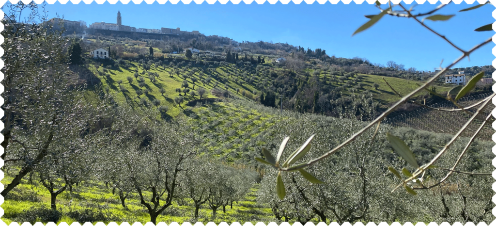 Uliveto Città Sant'Angelo